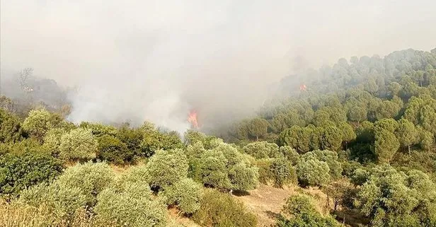 İzmir’de korkutan orman yangını! Tarım ve Orman Bakanı Bekir Pakdemirli söndürme çalışmalarını helikopterle denetledi