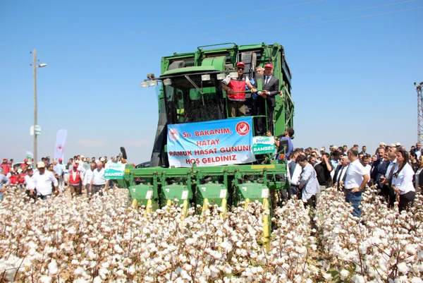 tarim-ve-orman-bakani-vahit-kirisci-pamuk-ureticisine-dekar-basi-destegi-76-liradan-271-liraya-yukselttik-1663503282650.jpg