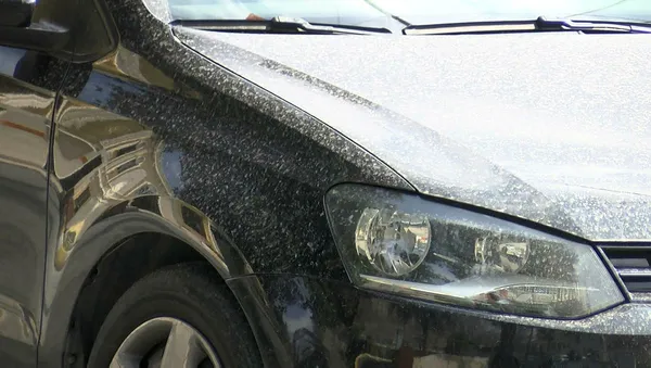 İstanbul'a yağan çamurun nedeni belli oldu!-2