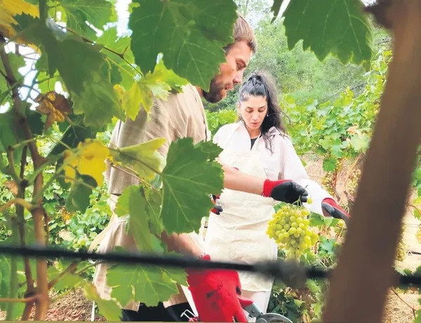 Edis'in, uzun metrajlı belgeseli 'Starlight' yayına girdi-5