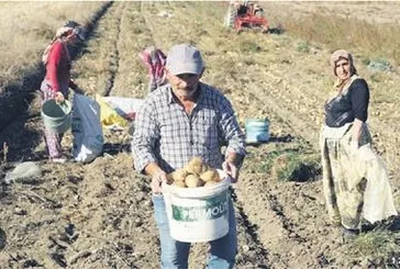 Deneme amaçlıydı geçim kaynağı oldu!