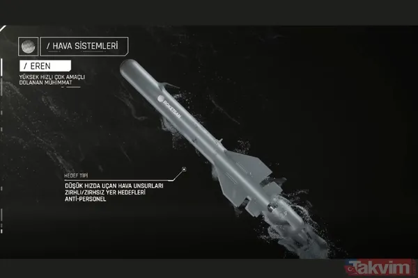 IDEF 2025'e TAYFUN, EREN ve 300 ER damgası! Roketsan 6 yeni silahını tanıttı | Balistik füze ne zaman envantere girecek? - 6