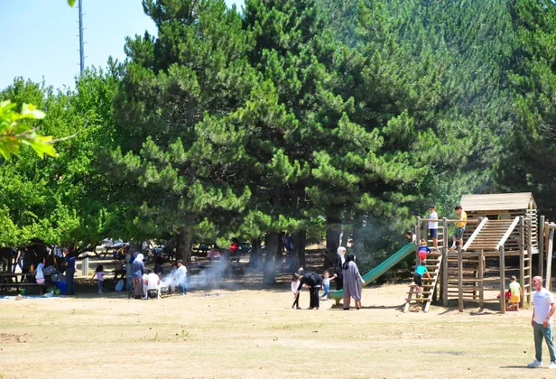 piknik-mesire-yerleri-ormana-gitmek-yasak-mi-aydos-kemerburgaz-belgrad-ormanina-gitmek-yasak-mi-1627650593659.jpg