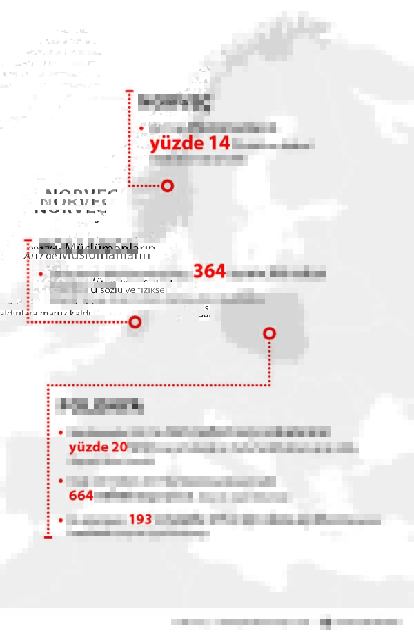 Avrupa'nın İslamofobi raporunda korkunç gerçekler-4