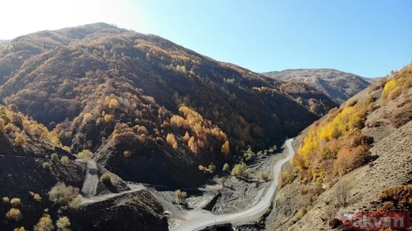 Muş'ta sonbaharın getirdiği renk cümbüşü harika görüntülere neden oldu - 10