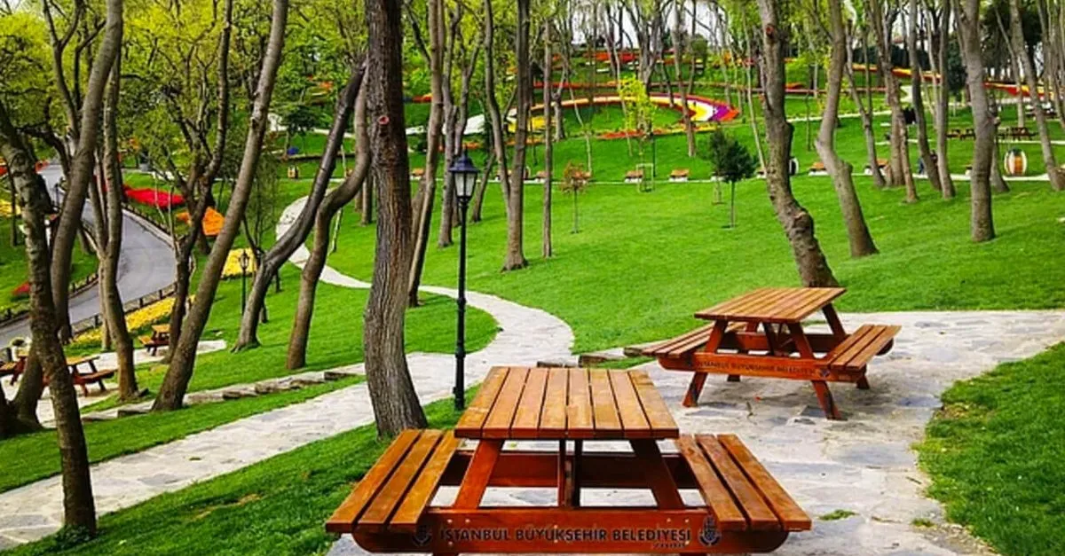 piknik yapmak bugun yasak mi istanbul ankara izmir de ormanlik alanlarda piknik mangal yasak mi takvim