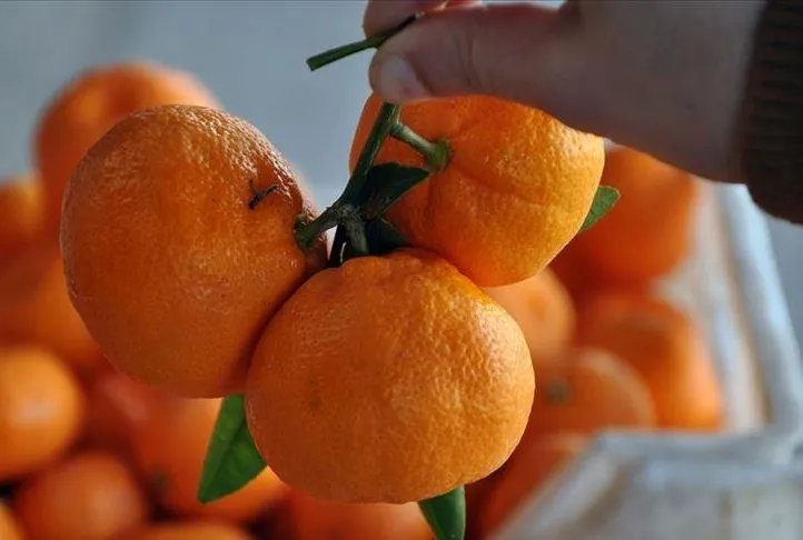 Tansiyonun ilacı mandalina!