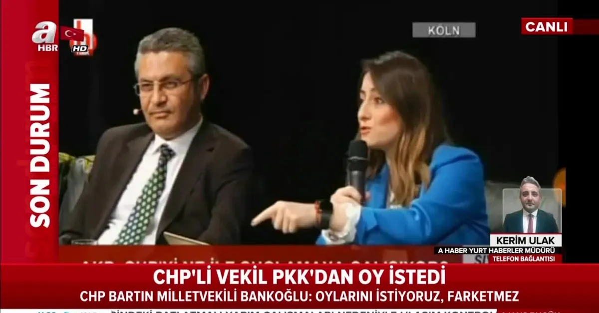 CHP'li vekil Aysu Bankoğlu HDPKK'dan oy istedi