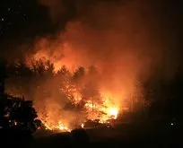 Orman yangınlarında son durum
