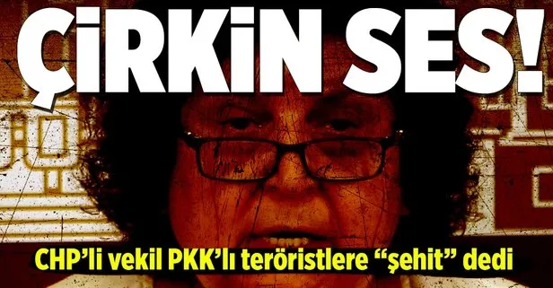 CHP’li vekilden PKK’lı teröristler için skandal sözler