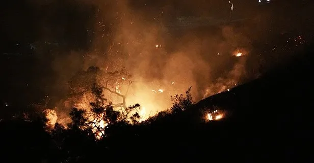 İzmir Aliağa ve Foça’da yangın çıktı