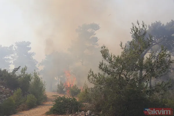 Bodrum'da orman yangını! "2024 yılının en ciddi yangınlarındandı" Kontrol altına alındı - 19