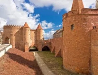 İnsansız dünyayı böyle çizdiler