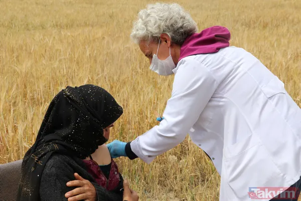 SON DAKİKA: Ankara Polatlı'da çiftçilerin Kovid-19 (koronavirüs) aşısı tarlada yapıldı - 5