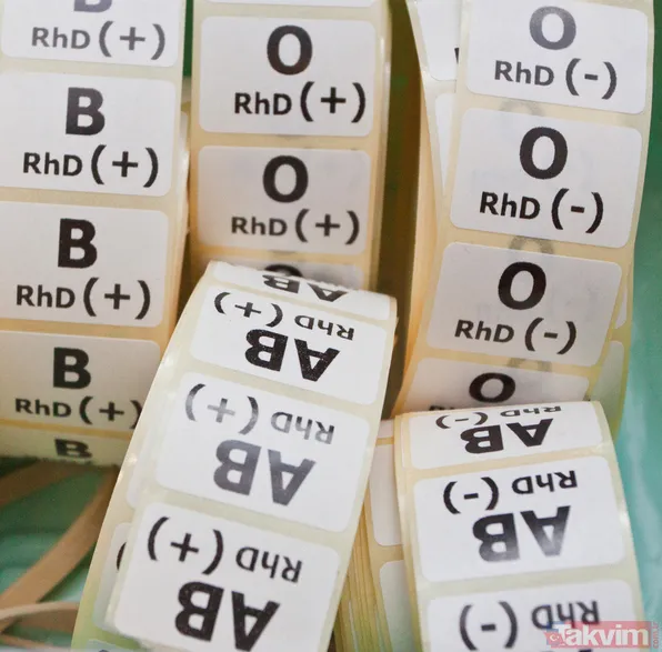 Bilim insanları da doğruladı! Hangi kan grubunun IQ’su daha yüksek? İşe alımlarda bile buna bakılıyor! Meğer... - 7