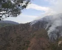 Kahramanmaraş’taki yangının sebebi: Yıldırım