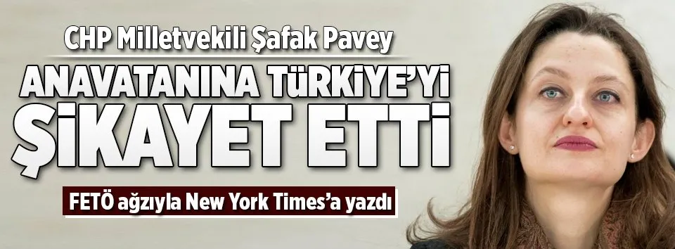 CHP’li Pavey’den ABD gazetesinde Türkiye’ye iftira