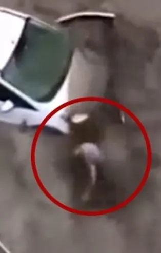 Kastamonu Bozkurt'taki sele kapılıp gözden kaybolmuştu! Mucize kurtuluş öyküsünü anlattı