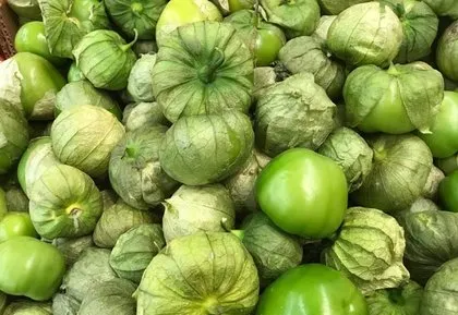 Yeşil domates tomatillonun faydaları