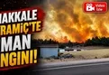 Çanakkale Bayramiç'te orman yangını!