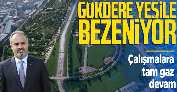 Gökdere yeşile bezeniyor