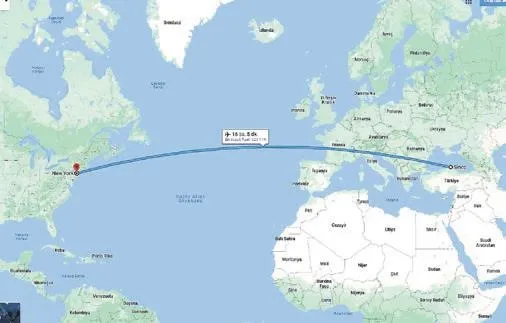 1654552872206.jpeg İstanbul'a turist olarak gelen Tony hikayesinden çok etkilendiği köpek Helly'i Amerika'ya götürdü-3