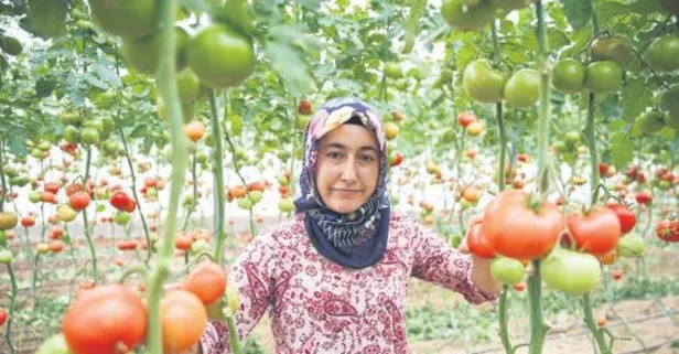 Hibeyle iş sahibi oldu