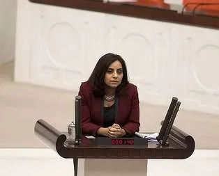 CHP topyekûn teröristi koruma çabasında