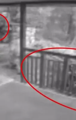 O gece Marmaris'te ne olmuştu?