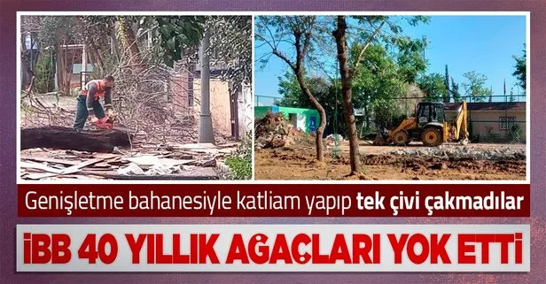 CHP’li İBB Kartal’da park genişletme bahanesiyle ağaçları kesti iki aydır tek çivi çakmadı!