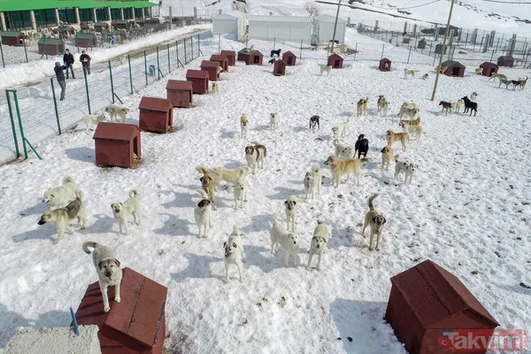 SON DAKİKA: PKK'yı HDP'yi rahatsız eden fotoğraf! Yüksekova'nın eski halinden eser yok - 22