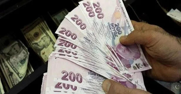 TL cinsi varlıklara faiz koruması