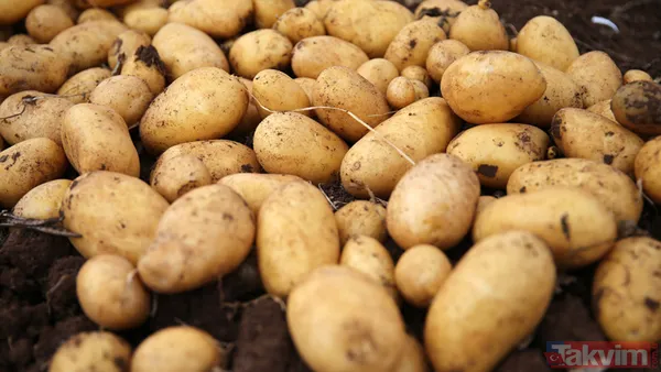 Vatandaş sepetini ucuza dolduracak! Tarım Kredi Marketlerinde indirim başlıyor - 29