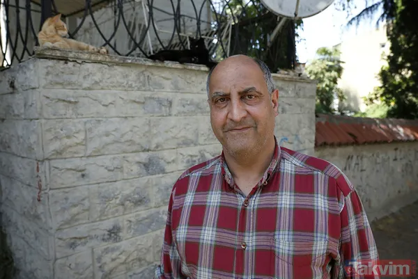 Büyükada'da salgın! 4 ayda 700 kedi Feline Enfeksiyoz Peritonit (FIP) hastalığından öldü! Hayvanseverler CHP'li belediyeyi kayıt tutmadığı için suçladı - 36