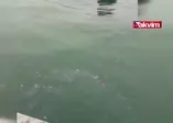 Kanlıca'da otomobil denize uçtu