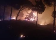 Son dakika: Aydındaki orman yangını kontrol altına alındı