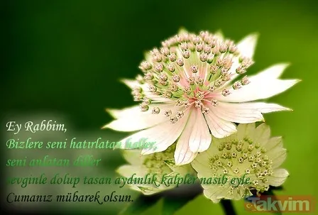 Cuma mesajları 2018: Resimli ve kısa cuma mesajları ile sevdiklerinizin cumasını kutlayın! Hayırlı Cumalar - 30