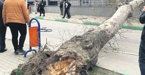 İstanbul, Bursa ve İzmir’de etkili olan fırtına can aldı! 5 kişi öldü 38 kişi yaralandı