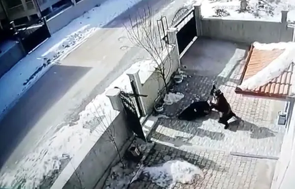 1644328372797.jpg Boşanma aşamasındaki eşi ve kayınvalidesine kurşun yağdırdı! Afyonkarahisar'da pusu kuran damat dehşeti-4