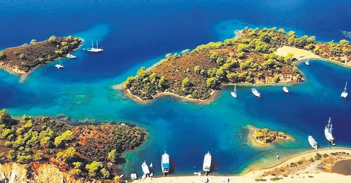 Adalar Belediyesi Hangi Partide Adalar In Mevcut Belediye Baskani Atilla Aytac Kimdir Son Dakika Haberler