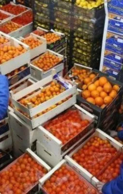 Rusya'nın ithalat yasağı haftaya kalkıyor