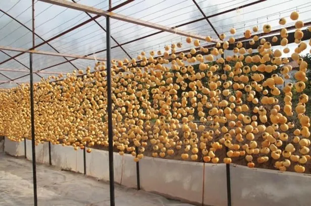 para-etmiyor-diye-basladi-3-yildir-buyuk-islere-imzasini-atiyor-toplam-35-liradan-1607630586510.jpg Para etmiyor diye başladı! 3 yıldır büyük işlere imzasını atıyor! Toplam 35 liradan...-9