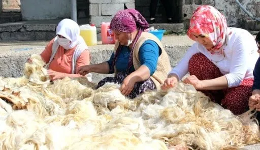 Rüya Tabirleri Temiz Suda Yün Yıkamak Rüya Tabirleri Temiz Suda Yün Yıkamak