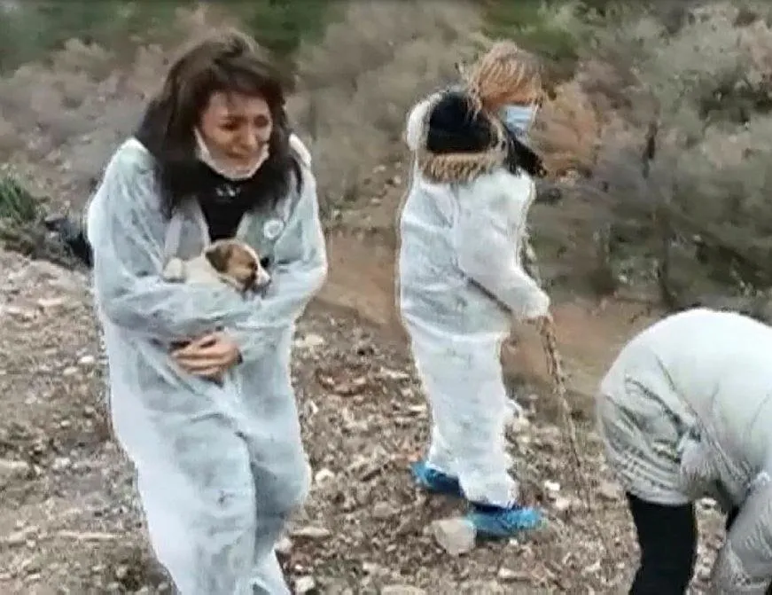 İsyan ettiren olay! Gören gözyaşlarına boğuldu