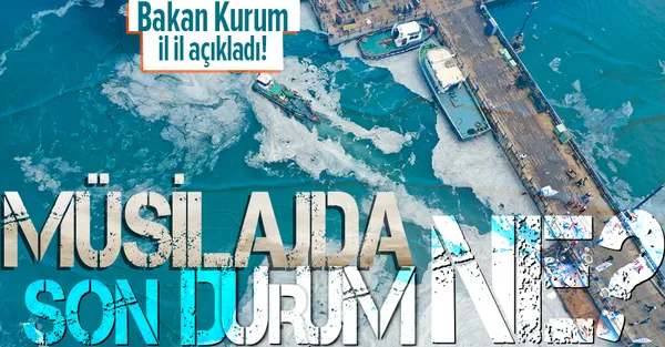 Son dakika: Çevre ve Şehircilik Bakanı Murat Kurum müsilajdaki son durumu açıkladı!-1