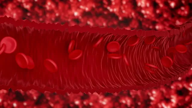 bu-kan-grubundakiler-celik-gibi-vucuda-sahip-en-sanssiz-kan-grubu-belli-oldu-bu-kisilerin-kanser-olma-riski-1700942131755.jpg Bu kan grubundakiler çelik gibi vücuda sahip! En şanssız kan grubu belli oldu! Bu kişilerin kanser olma riski...-3