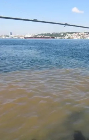 Marmara Denizi'nde deniz salyası temizleme çalışması devam ederken İstanbul Beylerbeyi sahili kahverengi oldu