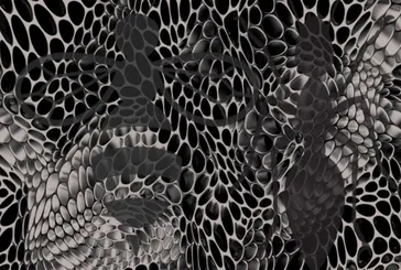 Görselde ilk hangi hayvanı gördün? Eğer arı gördüysen...