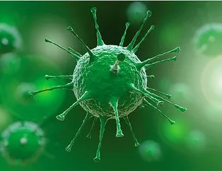 İşte koronavirüsün 3 boyutlu görüntüsü