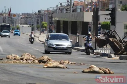 Antalya’da şok görüntü! TIR’dan caddeye döküldü...